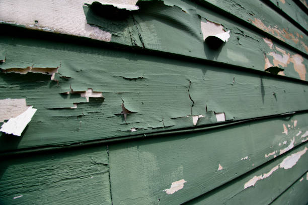 Best Property Management Cleanouts  in Odessa, FL